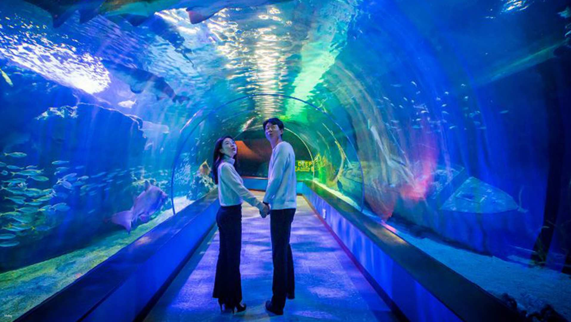 Sea Life Busan Aquarium Tickets | Korea - Photo 1 of 8